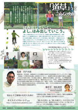 映画チラシ裏